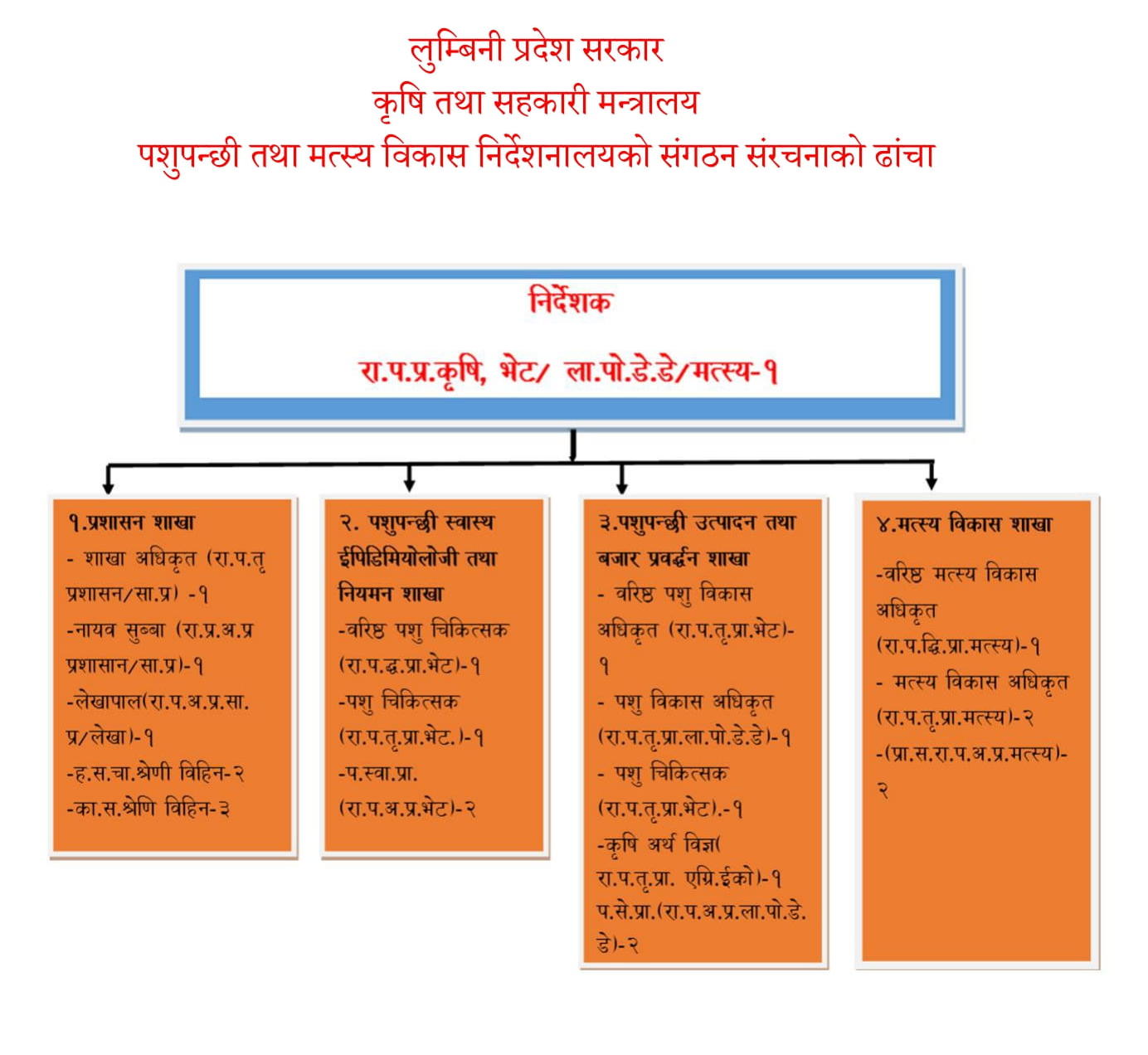 organizational structure lumbini dolfd